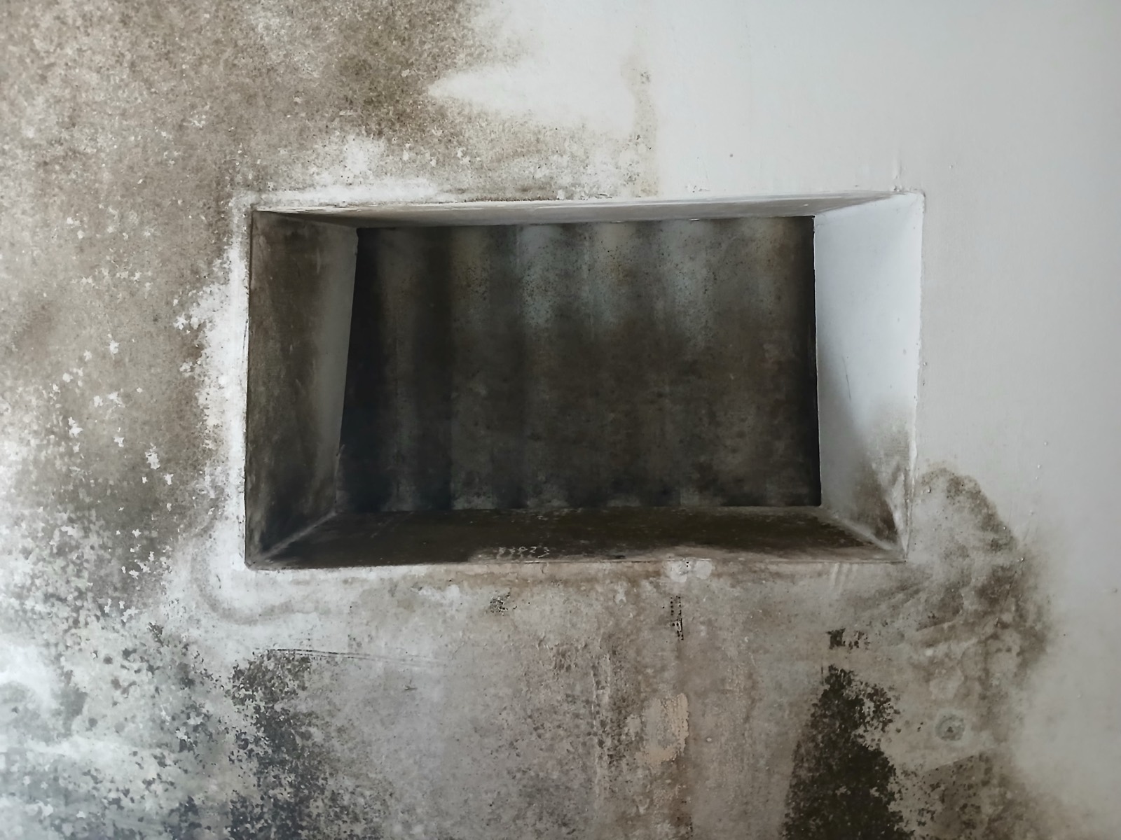 Noise, Damp and Insects in a Vietnam Rental: What to Check at the Viewing