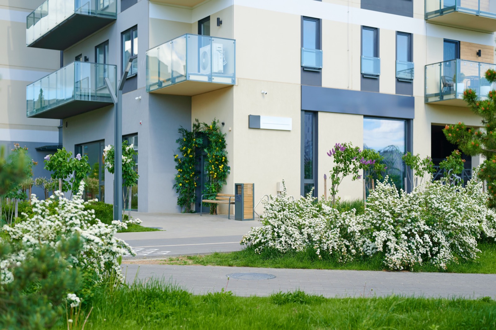Do You Need an Agent to Rent in Vietnam? "Direct From the Owner" Is a Claim, Not a Discount